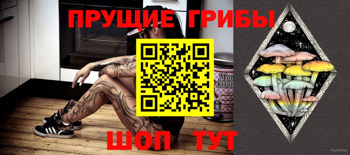 Урус-Мартан  Галлюциногенные грибы MAGIC MUSHROOMS  Вход с VPN  Псилоцибиновые грибы Psilocybe 